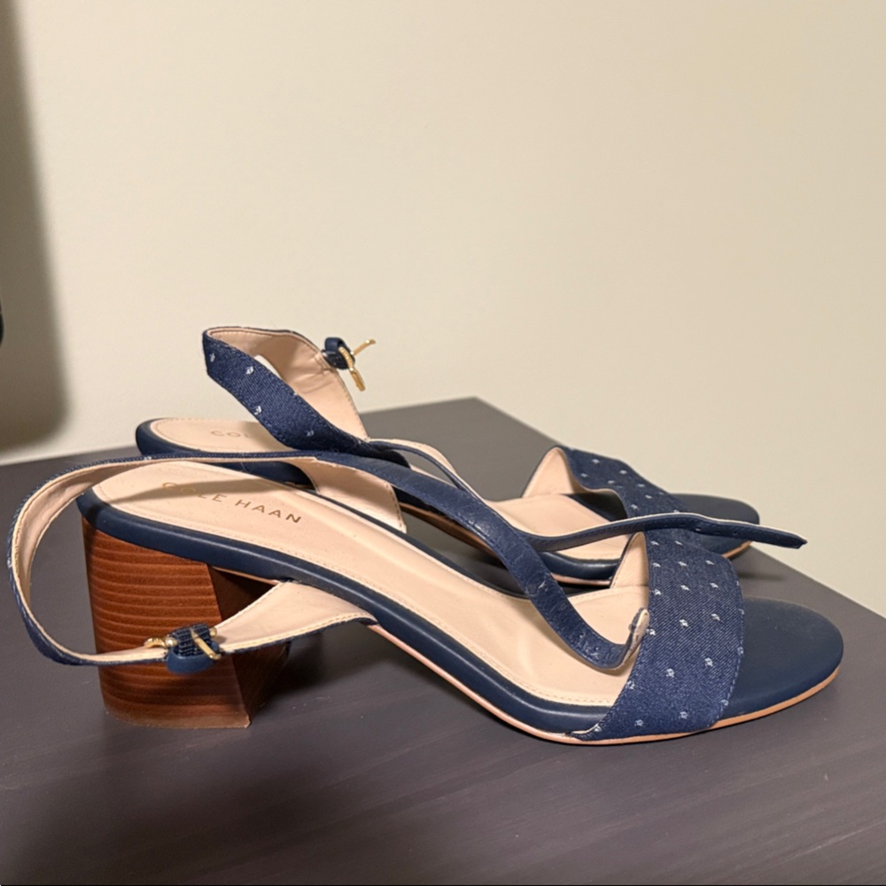 Cole Haan Navy Blue Block Heel Sandals